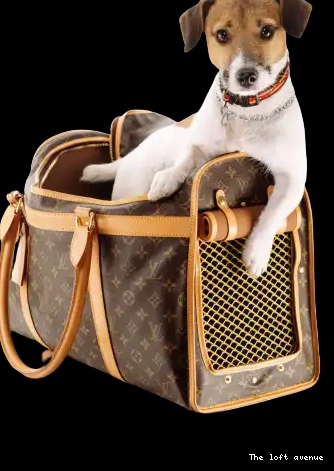 CUSTOM PET BAG LV 0524